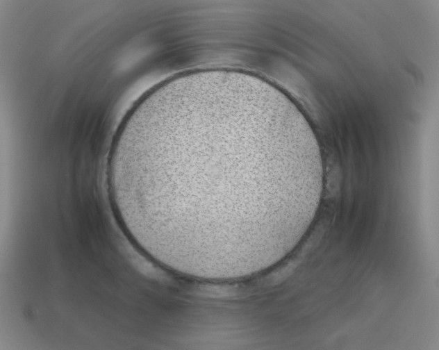 X0000113871086200910221330