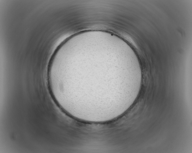 X0000113871087200910221330