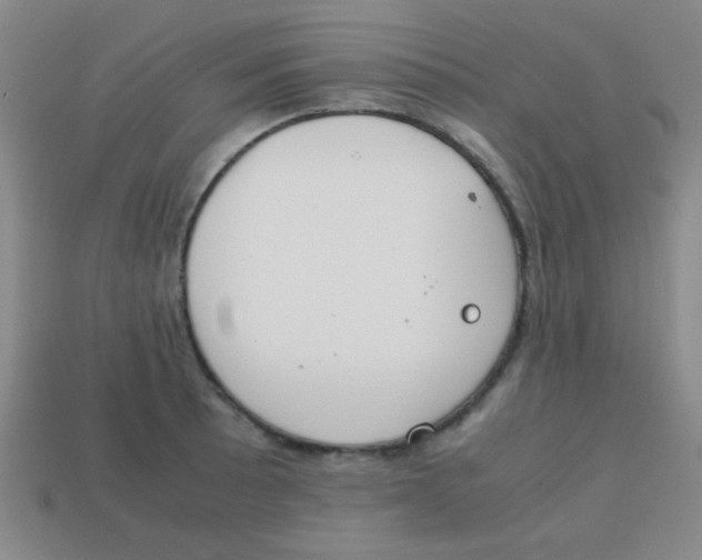 X0000113871089200910221329