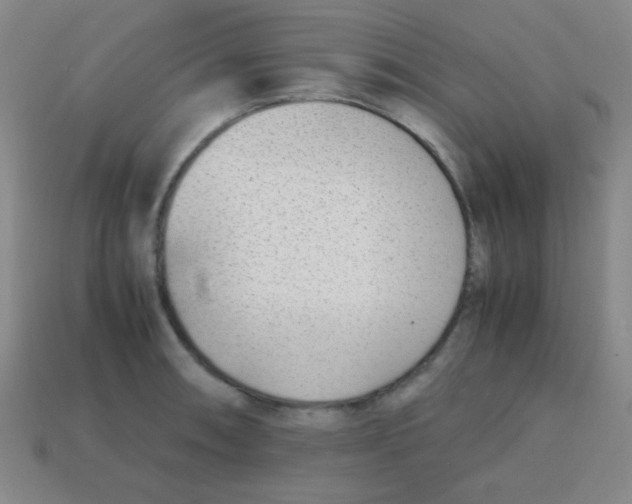 X0000113871090200910221329