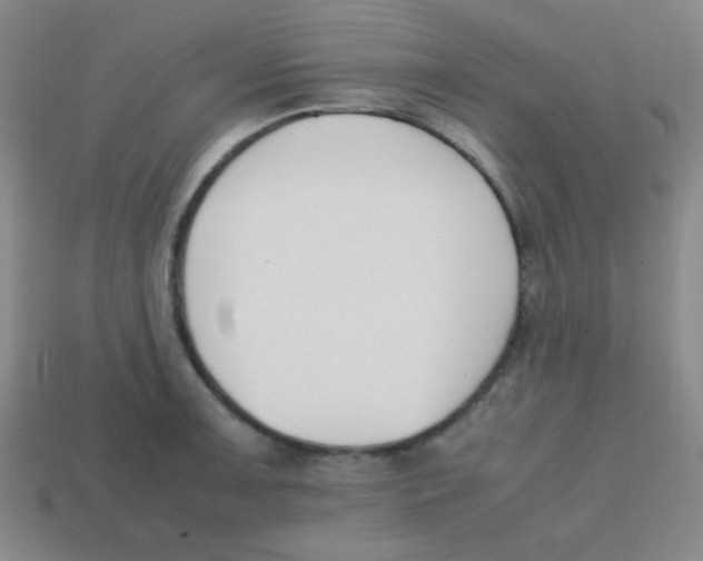 X0000113871091200910221329
