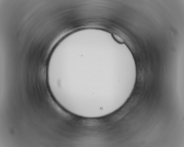 X0000113871092200910221329