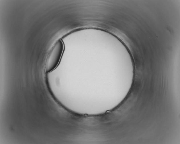 X0000113871093200910221329
