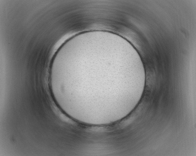 X0000113871094200910221329