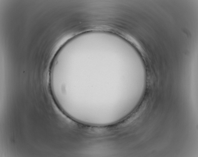 X0000113871095200910221329