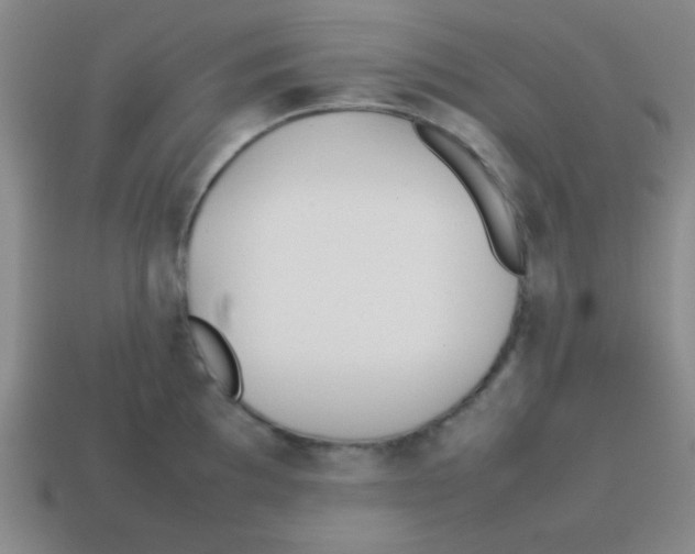 X0000113871097200910221329