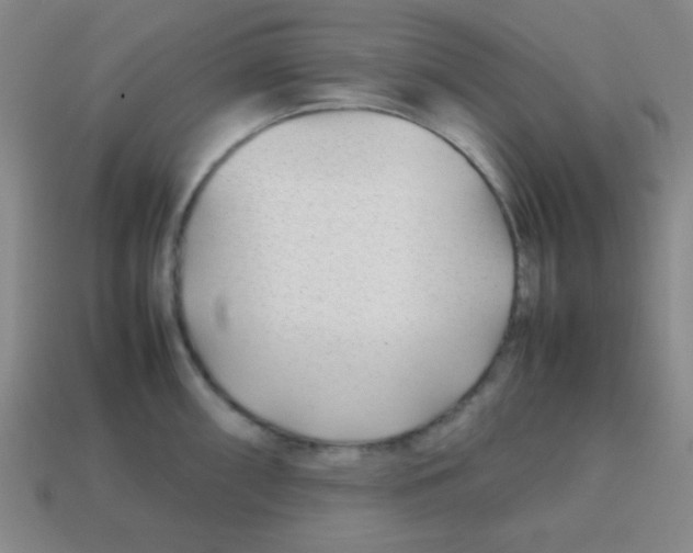 X0000113871098200910221329