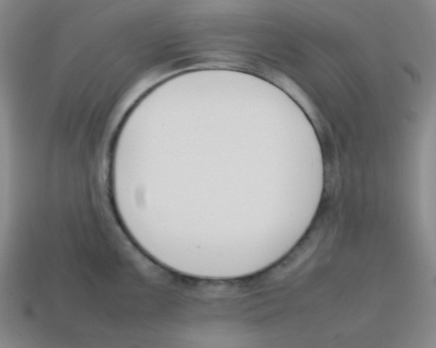 X0000113871099200910221329
