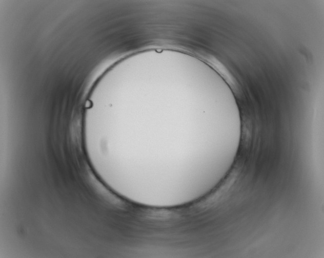 X0000113871100200910221329