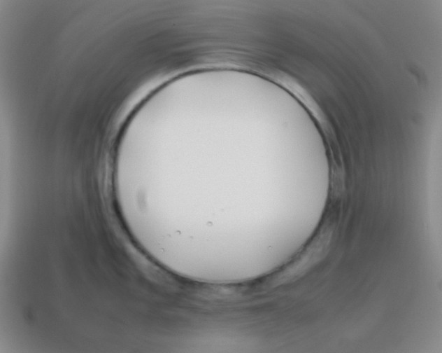 X0000113871101200910221329