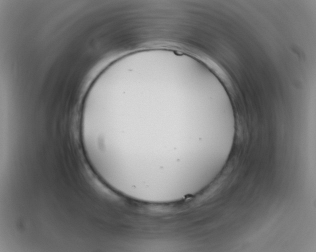 X0000113871102200910221329