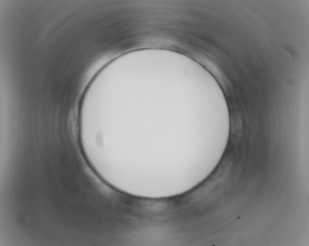 X0000113871103200910221329