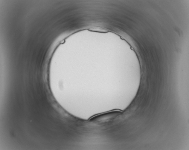 X0000113871104200910221329