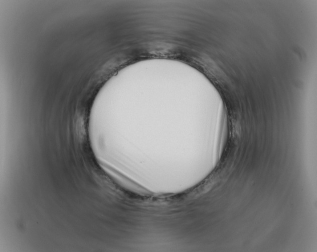 X0000113871106200910221329