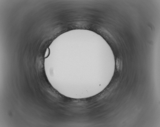 X0000113871107200910221329