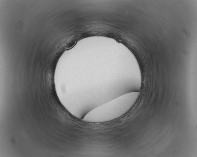 X0000113871108200910221329
