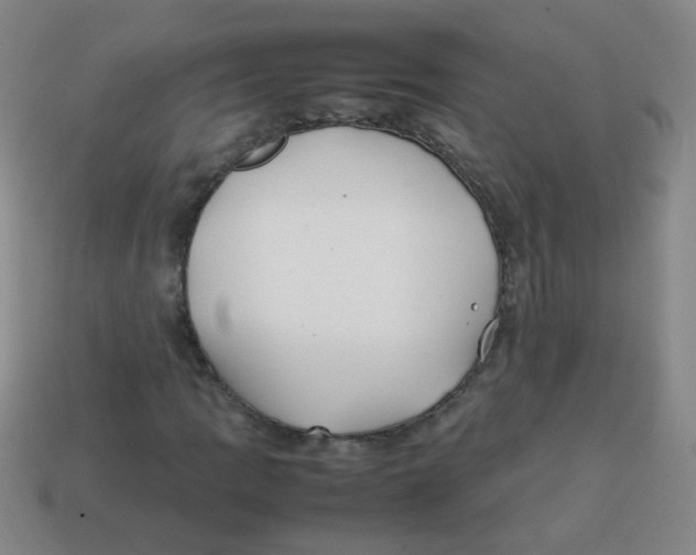 X0000113871109200910221329