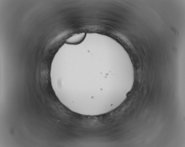X0000113871111200910221329
