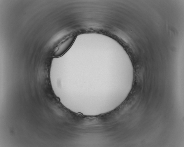 X0000113871112200910221329