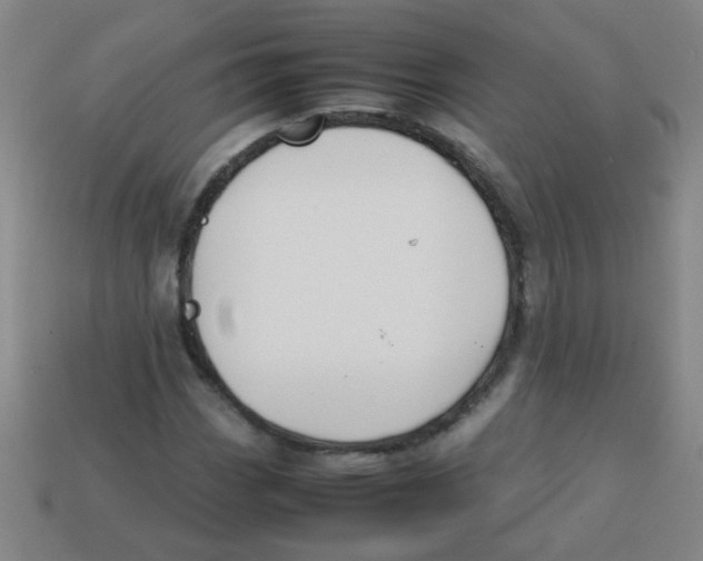 X0000113871113200910221329