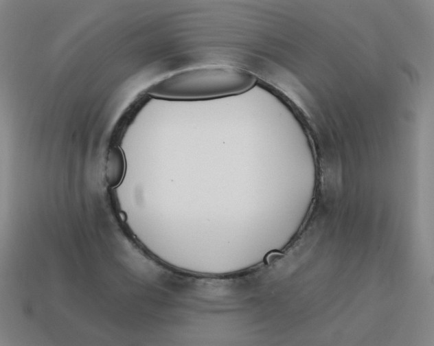 X0000113871116200910221329