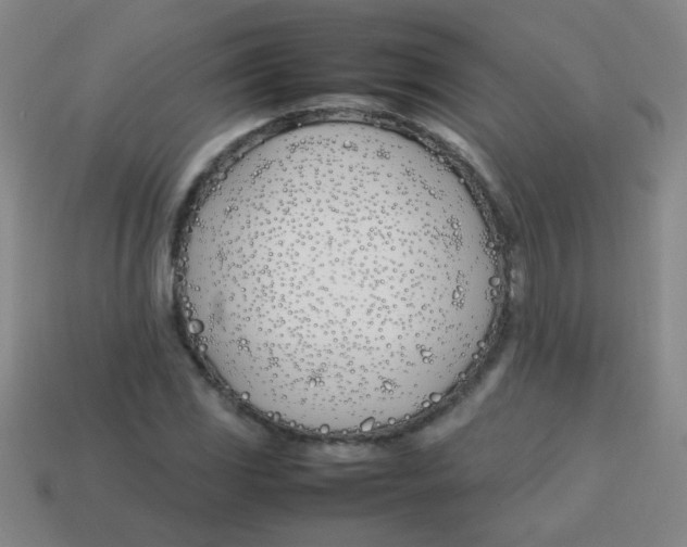 X0000113871117200910221329