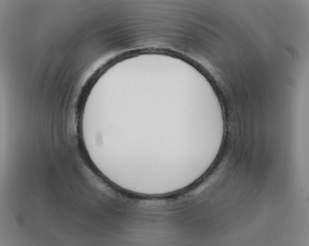 X0000113871118200910221329