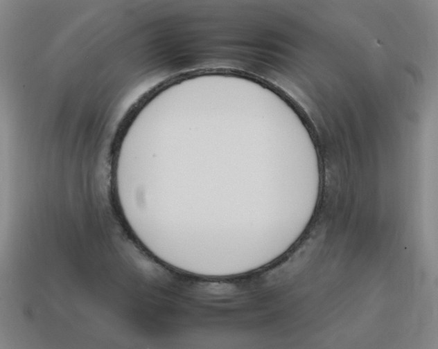 X0000113871119200910221329
