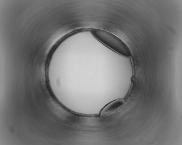 X0000113871120200910221329