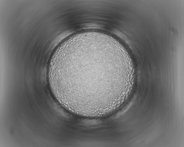 X0000113871121200910221329
