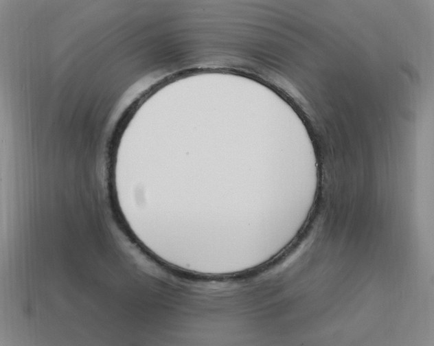 X0000113871122200910221329
