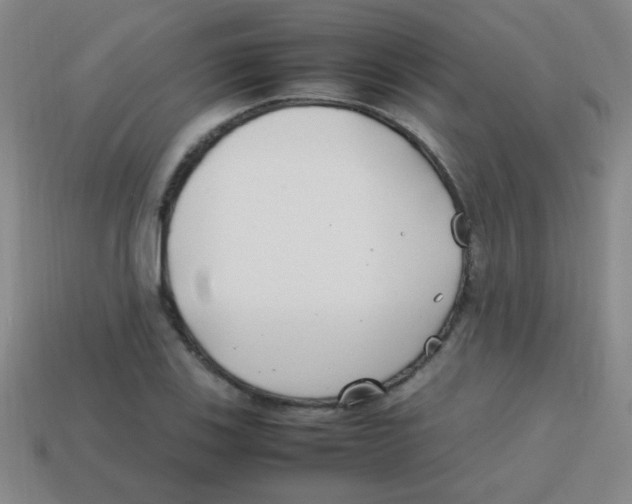 X0000113871123200910221329
