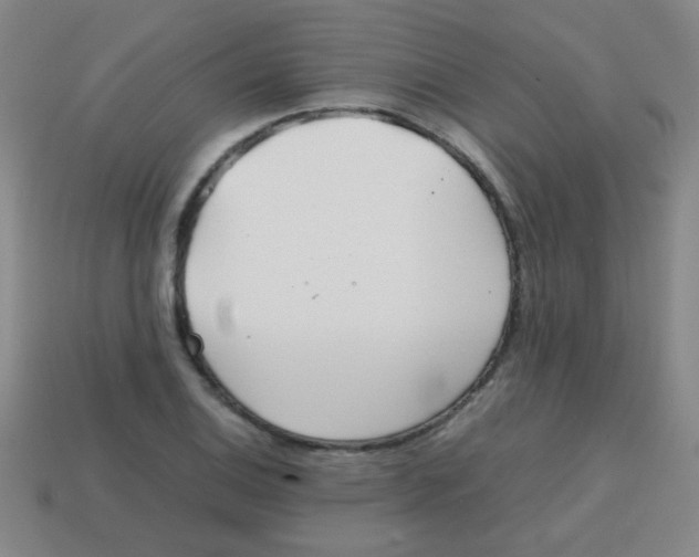 X0000113871124200910221329
