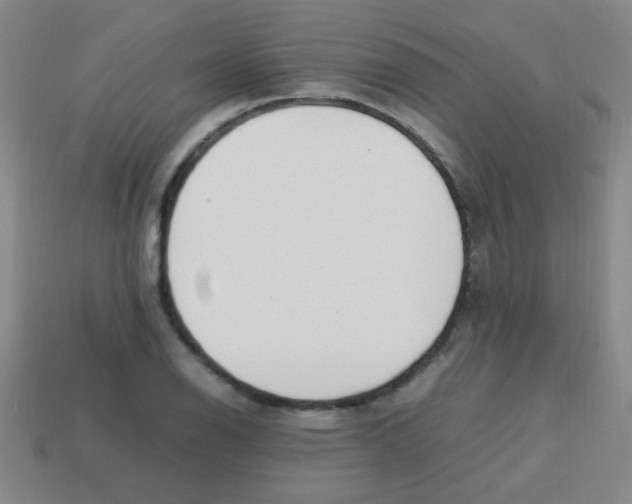 X0000113871126200910221329