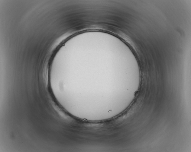 X0000113871127200910221329