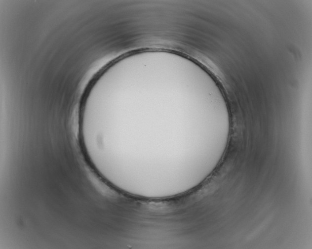 X0000113871128200910221329