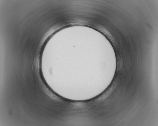 X0000113871130200910221329