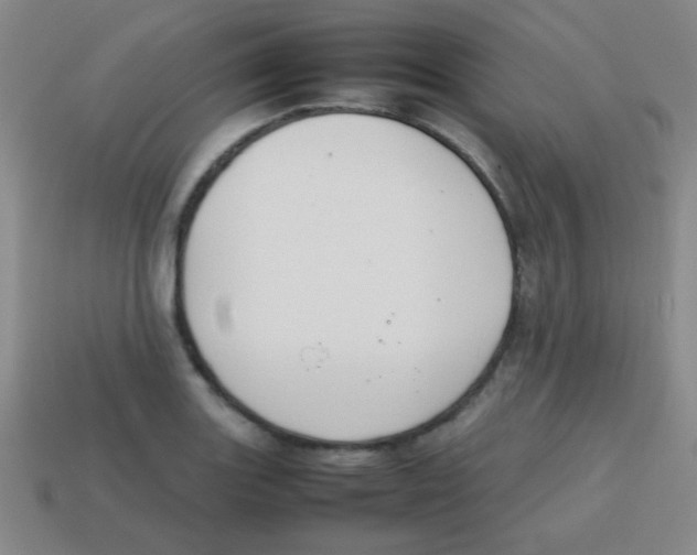 X0000113871131200910221329