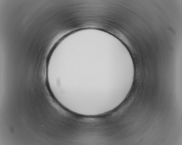 X0000113871132200910221329