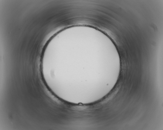 X0000113871134200910221329