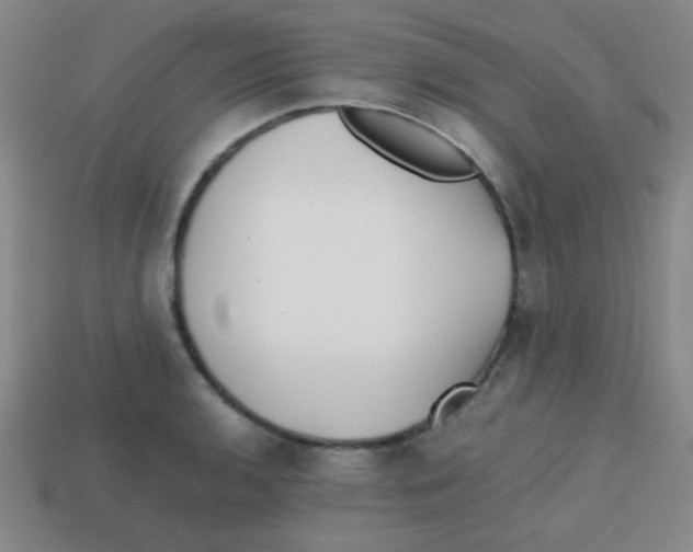 X0000113871136200910221329