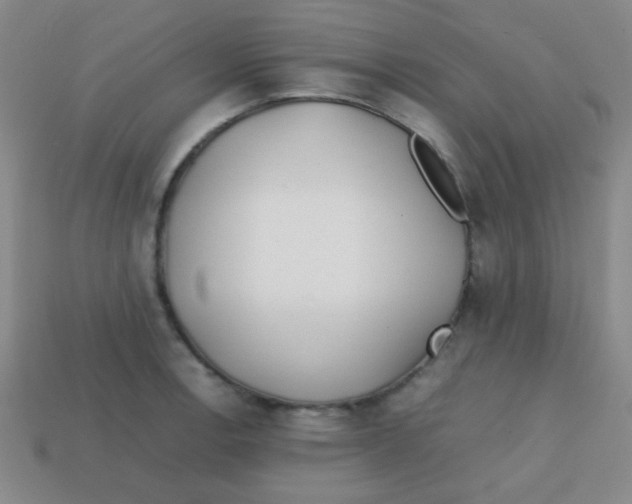 X0000113871138200910221329