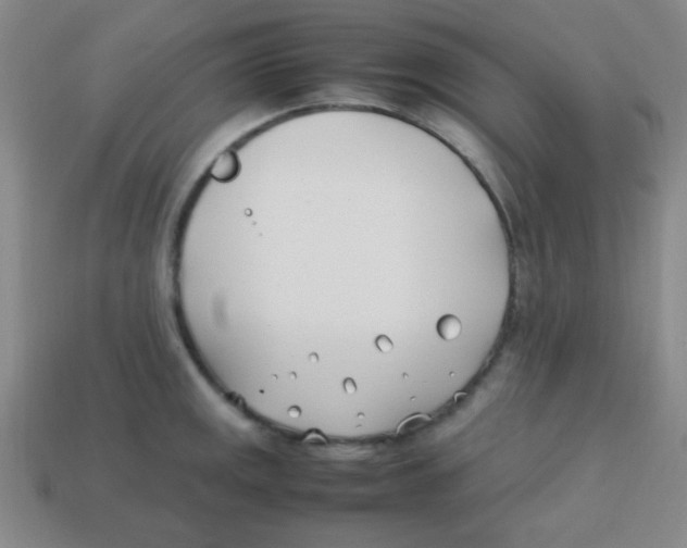 X0000113871141200910221329