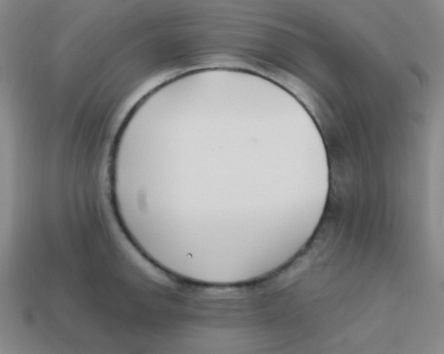 X0000113871142200910221329
