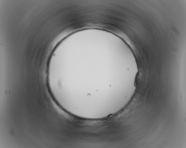 X0000113871143200910221329