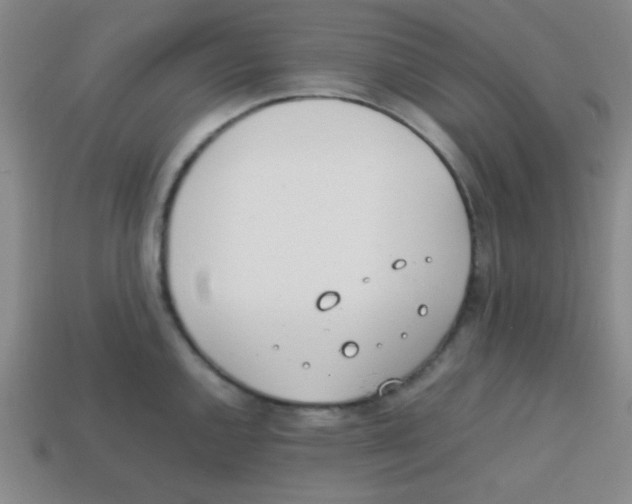 X0000113871144200910221329