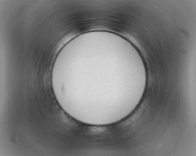 X0000113871145200910221329