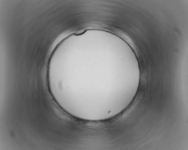 X0000113871146200910221329