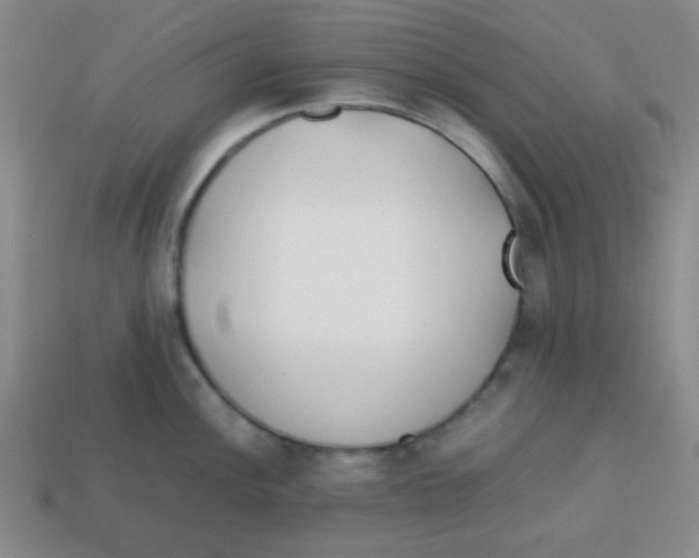 X0000113871148200910221329