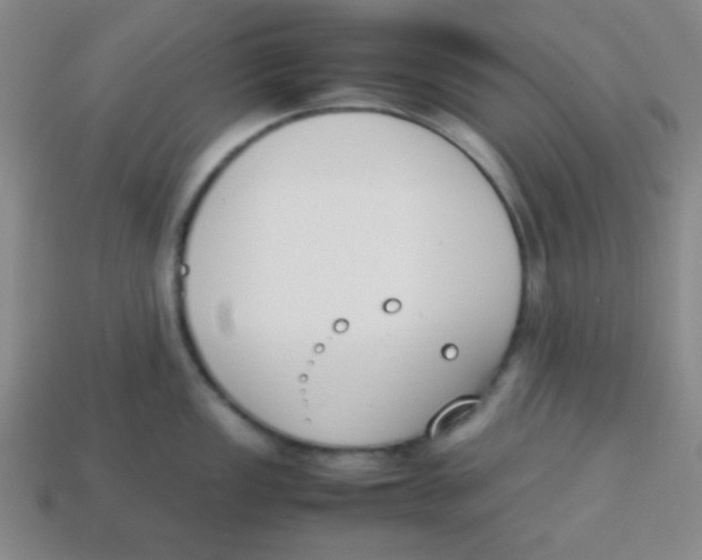 X0000113871149200910221329